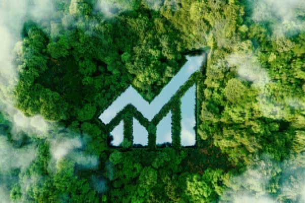 XM外汇官网-酒价内参3月25日价格发布 洋河梦之蓝M6+下跌2元/瓶